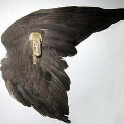 Custom Goose Wing / Skull - Products