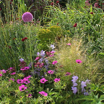 Perennial Garden