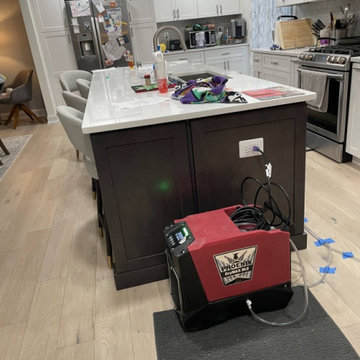 Water Damage Restoration Project in Carrleigh