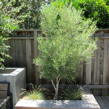 Stewart Family Garden