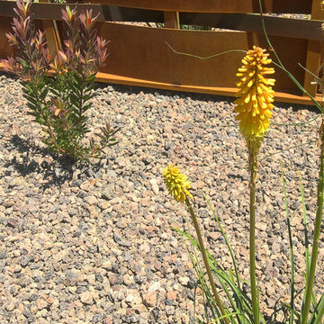 Edible Garden with Whimsy - Lawn removal project
