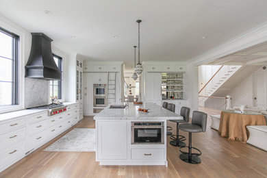 Eat-in kitchen - large transitional light wood floor eat-in kitchen idea in New York with glass-front cabinets, white cabinets, paneled appliances and an island