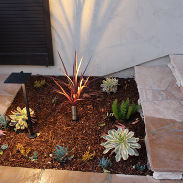 Landscape Lights