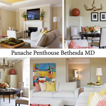 Camille Saum Interior Design LLC Presentation