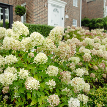 Chislehurst Tiered Front Garden