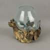 Large Molten Glass Sculptural Bowl / Plant Terrarium On Natural Driftwood Base