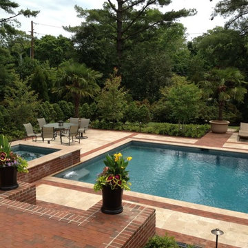 Luxury Swimming Pool