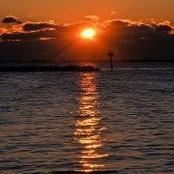 Ellen Dougherty-Vane's photo