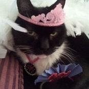 Vanessa Dodson's photo