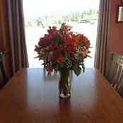 Carol Marcotte's photo