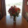 Carol Marcotte