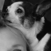 Dee Lind's photo