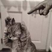 Lavinia Bini's photo