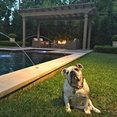 Elite Outdoor Living's profile photo