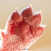 Beate Hochheim's photo