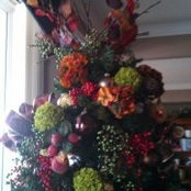 Sandi Buse's photo