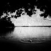 Ulf Berglund's photo