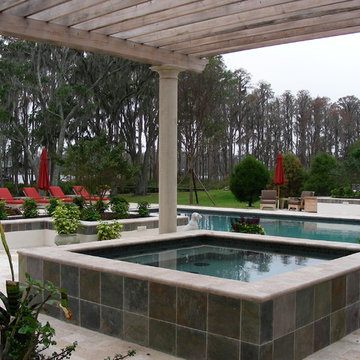 Tampa Bay Area Comprehensive Mediterranean Environment w/ Kitchen