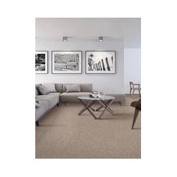 Carpet ideas from Mohawk - Products