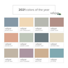 Paint Color