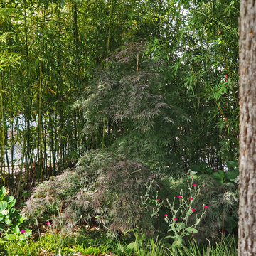 Un jardin haut en couleurs