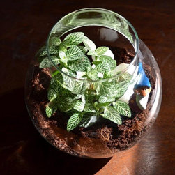 Corporate gifting and Diwali gifting - Garden Products