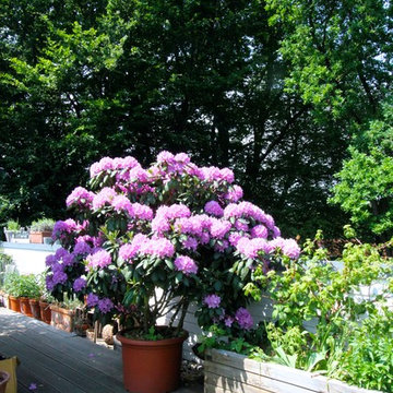 Dachgarten