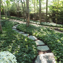 Garden Beds
