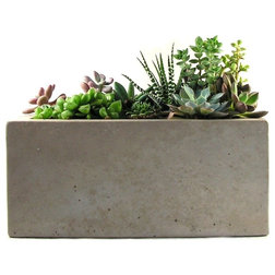 Industrial Indoor Pots And Planters by Rough Fusion