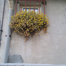 Una finestrella bella!