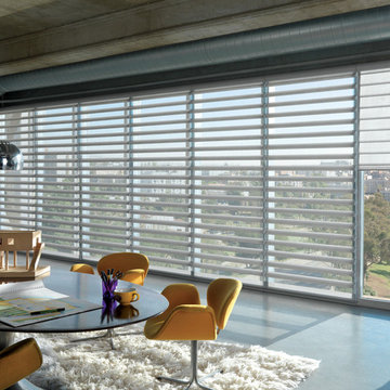 Hunter Douglas Pirouette