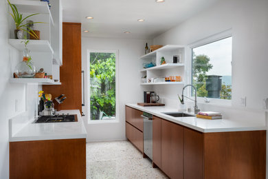 Mid-sized mid-century modern kitchen photo in Los Angeles