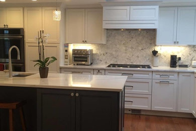 Example of a minimalist kitchen design in Boston