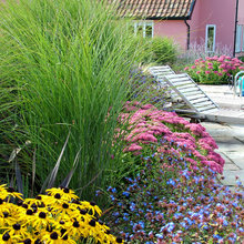 couleurs au jardin