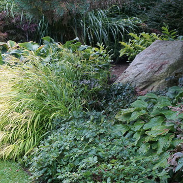 Old Farm Nursery: Display Gardens