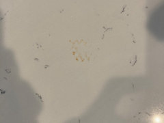 How do I remove these rust stains from a quartz countertop? Tried baking  soda, vinegar, and method all purpose cleaner. : r/howto