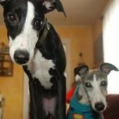 Michelle Johnson's photo