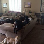 Valerie Waldron's photo