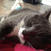 Fannie Phillips's photo