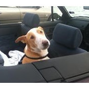 Rusty Gunter's photo