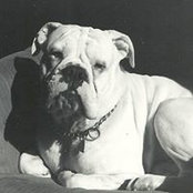 Greg Carey's photo