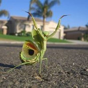 Janet Martuscelli's photo