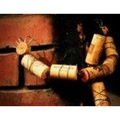 Sandra Brevard's photo