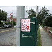 Michael Sheridan's photo