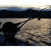 Cindy Weisgram's photo