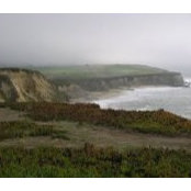 Chris Turner's photo