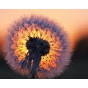 Lisa G's photo