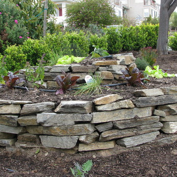 Herbal Spirals Stacked Stone
