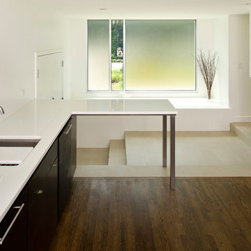 Modern Ranch House Addition- Sudbury, MA