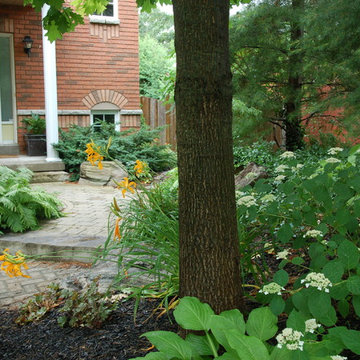 Gardens and great design plants